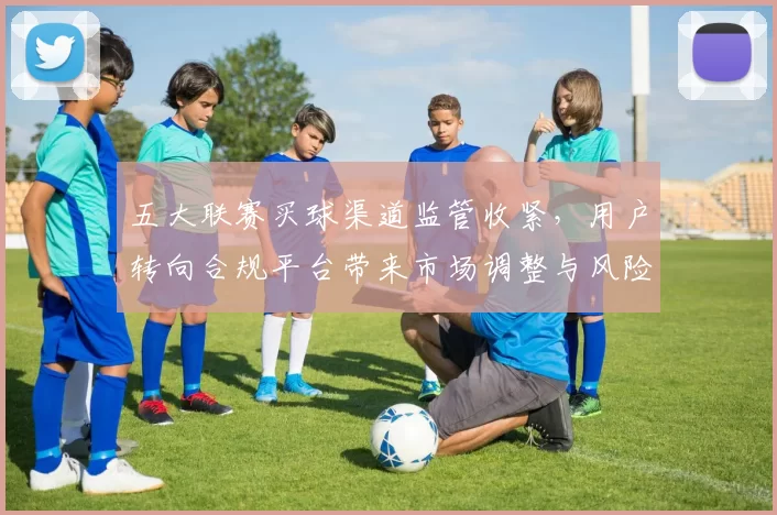 五大联赛买球渠道监管收紧，用户转向合规平台带来市场调整与风险提示