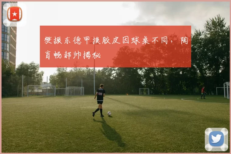 樊振东德甲换胶皮因球桌不同，陶育畅郝帅揭秘